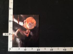 ZZP-4092 杨志贤 广西摄影家协会会员,广西老摄影家协会会员,梧州市摄影家协会会员。 摄影从我的在职工作至今就一直伴随我的快乐人生,积极参与全国、省市摄影赛,作品获得不少的入选和奖项。摄影照片