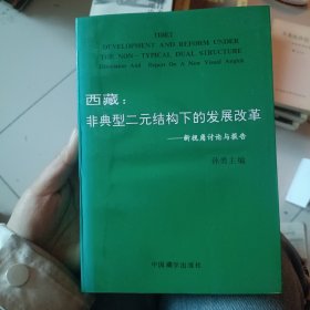 西藏 : 非典型二元结构下的发展改革 : 新视角讨论与报告