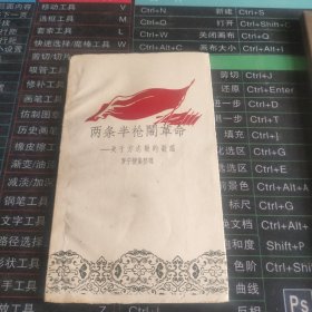 闹两条半枪闹革命