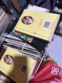 朔风飞扬（上下）