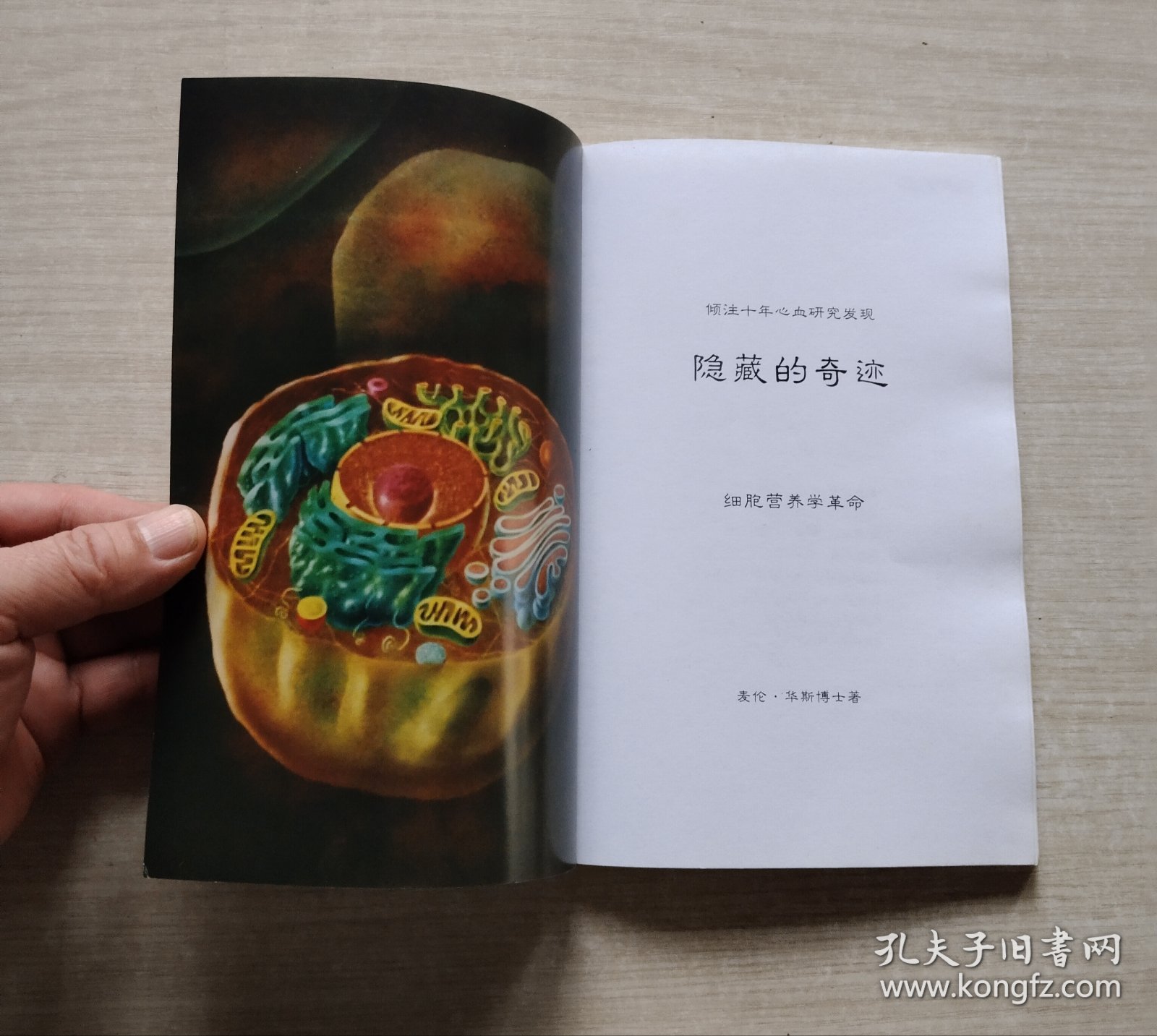 隐藏的奇迹