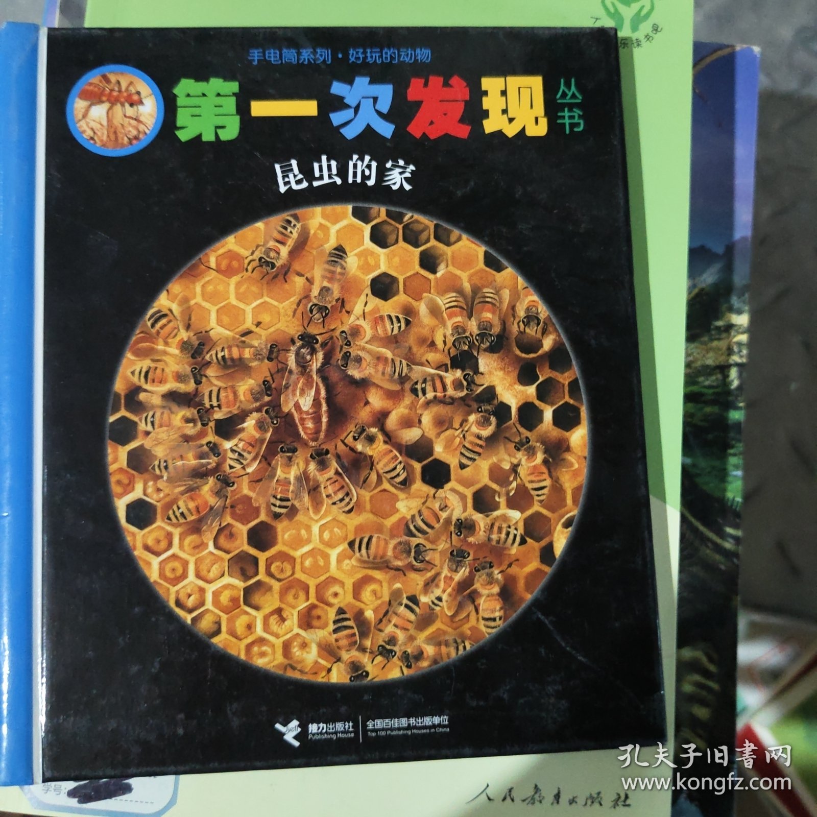 手电筒系列·好玩的动物·第一次发现丛书·昆虫的家