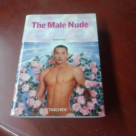 《The Male Nude David Leddick 》(男性艺术大卫·莱德迪克)