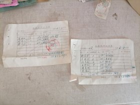 老发票：1966年蒲城县师范公费医疗报销单（2份）