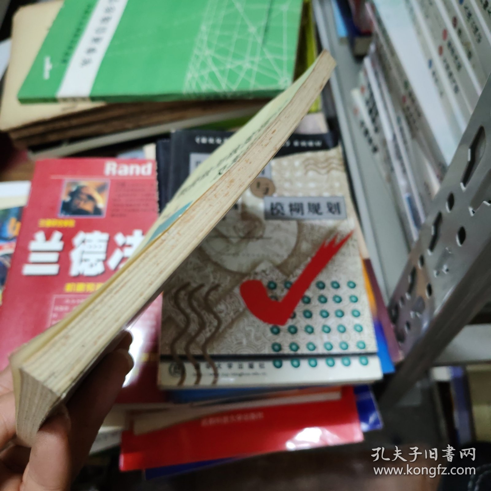 系统核与核度理论及其应用