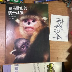 白马雪山滇金丝猴