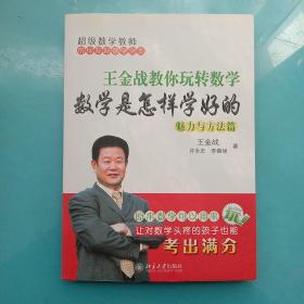 王金战教你玩转数学：数学是怎样学好的（魅力与方法篇）