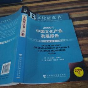 2009年中国文化产业发展报告