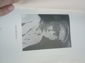 西北王胡宗南