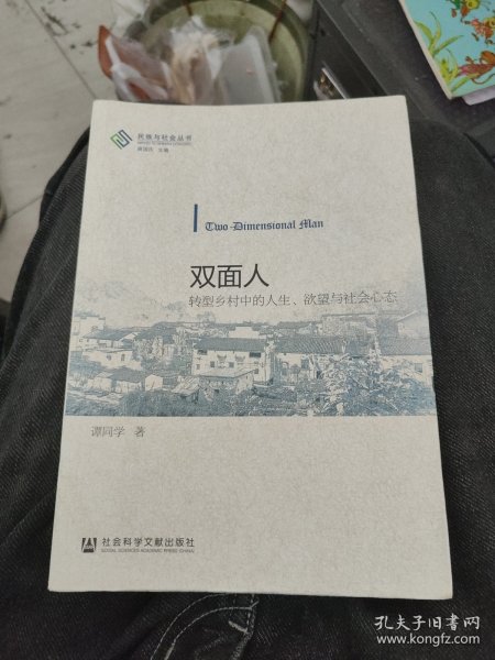 双面人：转型乡村中的人生、欲望与社会心态