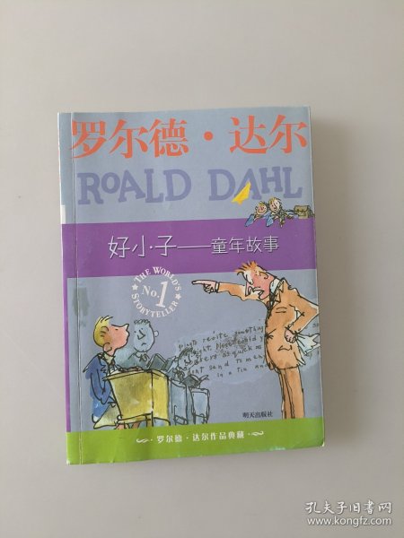 好小子-童年故事：罗尔德·达尔作品典藏