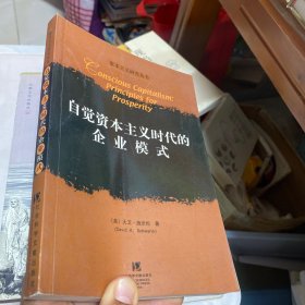 自觉资本主义时代的企业模式——资本主义研究丛书