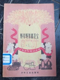 野草野果都是宝