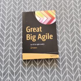 great big agile an os for agile leaders