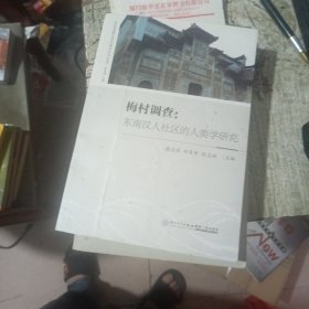 梅村调查：东南汉人社区的人类学研究/东南族群关系与海洋文化丛书