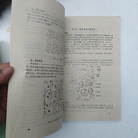 组织学与胚胎学 高英茂 1991年海口出版