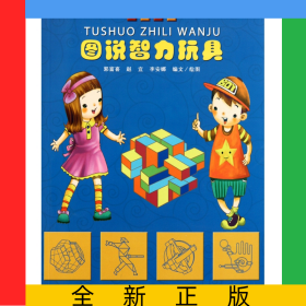 圖說智力玩具/玩出智慧