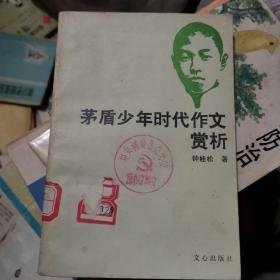 茅盾少年时代作文赏析