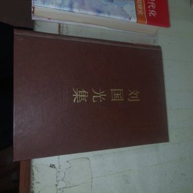 刘国光集