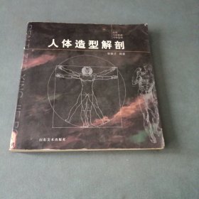 人体造型解剖