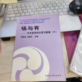 场与有:中外哲学的比较与融通.六
