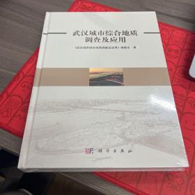 武汉城市综合地质调查及应用