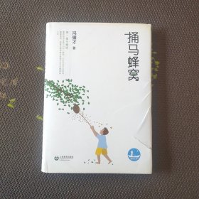 捅马蜂窝