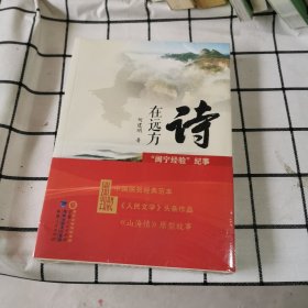 诗在远方(闽宁经验纪事)