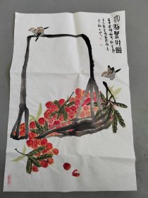 蔡宽畅17