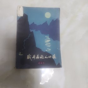 战斗在敌人心脏