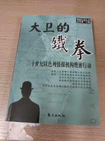 大卫的铁拳