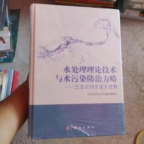 水處理理論技術(shù)與水污染防治方略：王寶貞師生論文選集