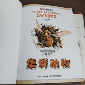 可怕的动物：蜘蛛蝎子和昆虫，老鼠，鳍足动物，集群动物（四本合售）