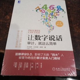 让数字说话：审计，就这么简单