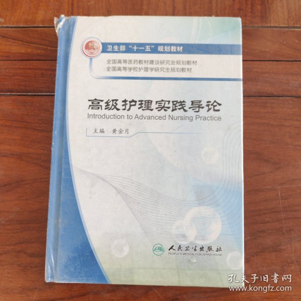 全国高等学校护理学研究生规划教材：高级护理实践导论