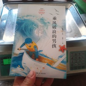 一路繁花系列：乘风破浪的男孩