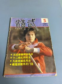 精武1987 5