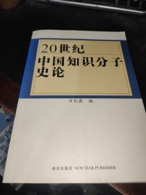 20世纪中国知识分子史论