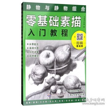 零基础素描入门教程：静物与静物组合