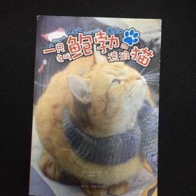 全新 正版  包快递 《一只名叫鲍勃的流浪猫》（升级版）[英]詹姆斯·鲍文 著  1版1印 正版 现货 收藏价值高 包快递