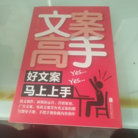 文案高手：好文案马上上手