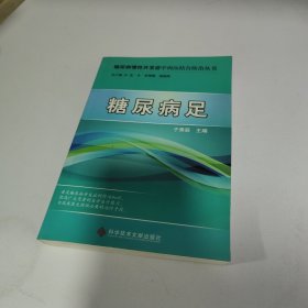 糖尿病慢性并发症中西医结合防治丛书：糖尿病足