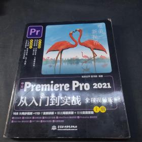 中文版Premiere Pro 2021从入门到实战 （全程视频版）