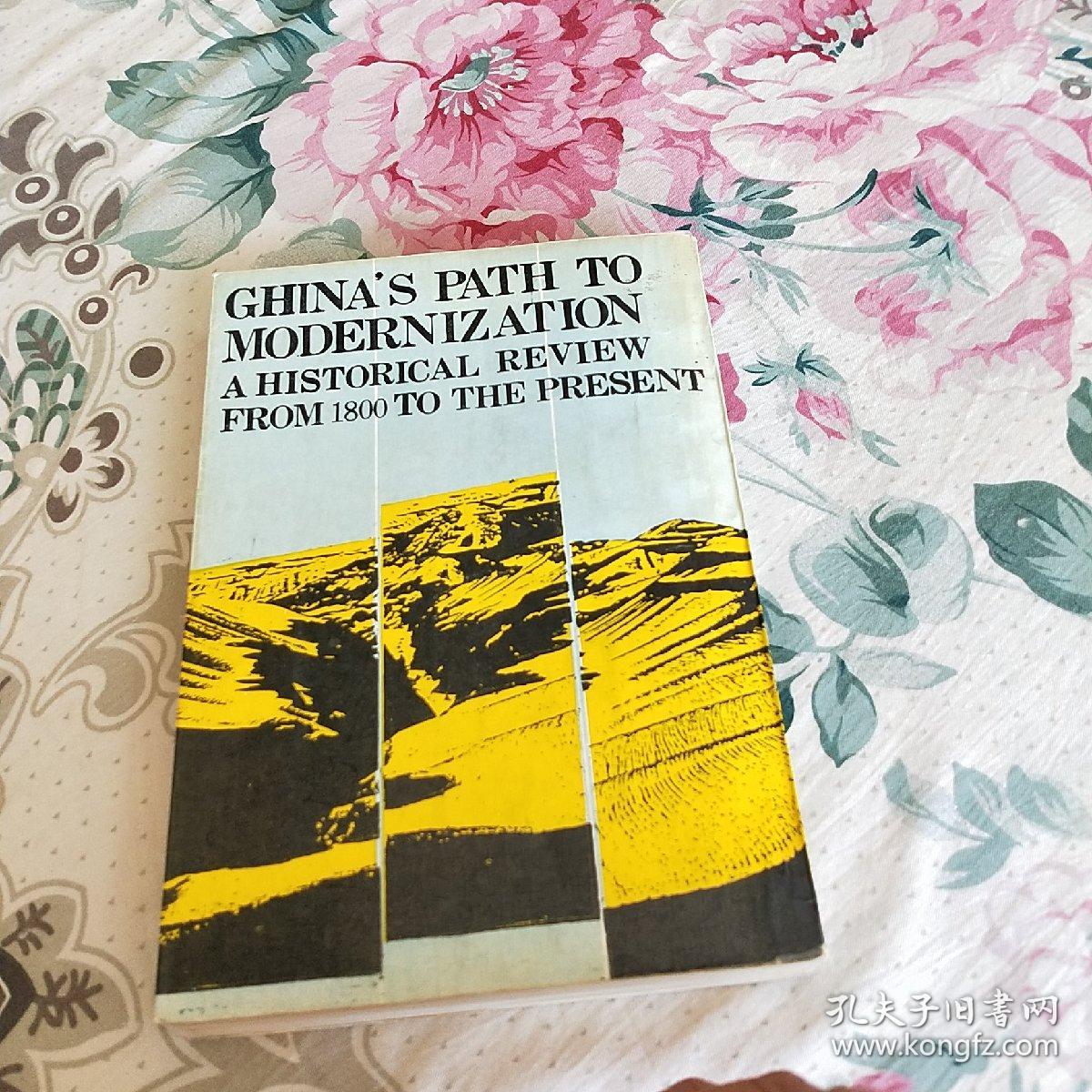 中国:前现代化的阵痛