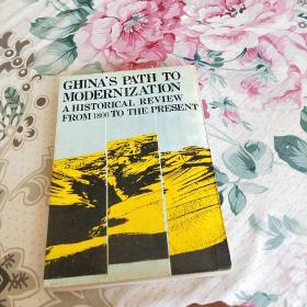 中国:前现代化的阵痛