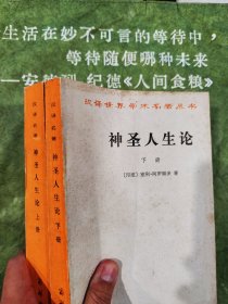 神圣人生论（全两册）：汉译世界学术名著丛书