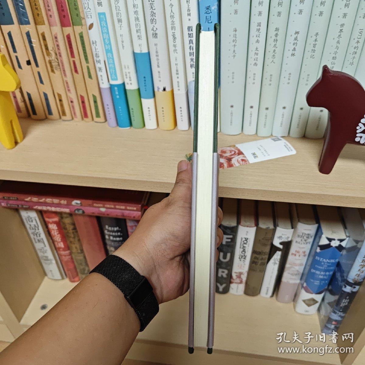 相遇与埋伏（意大利诗人首部中译诗集，蒙达多里出版社独家授权，“那不勒斯四部曲”译者陈英教授倾情翻译）