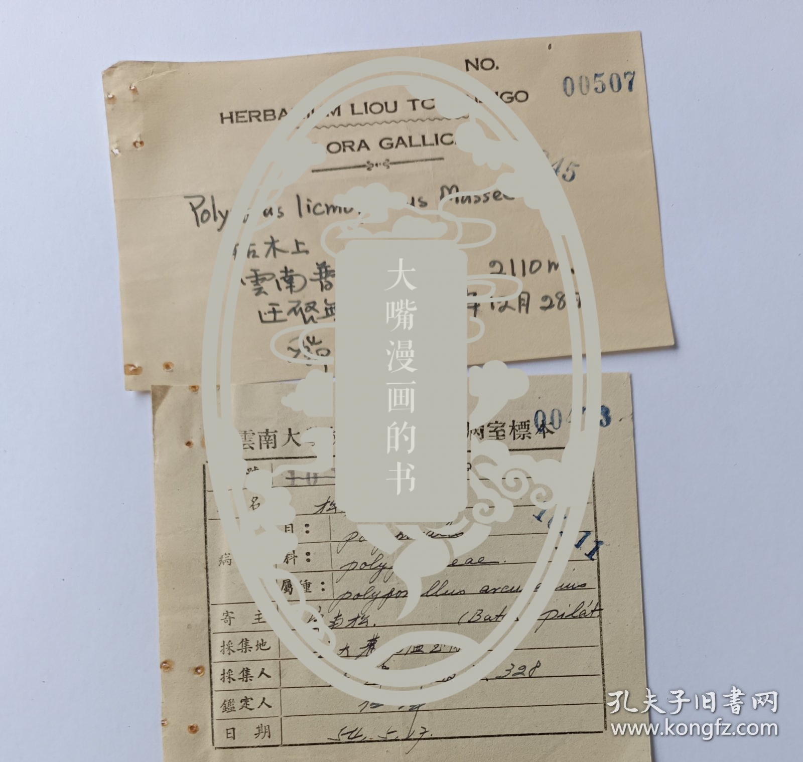 中央研究院院士、著名科学家邓叔群、科学家赵继鼎、任玮签名登记植物标本登记表2