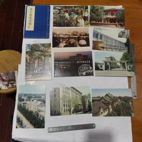 明信片，北京师范大学（10枚）