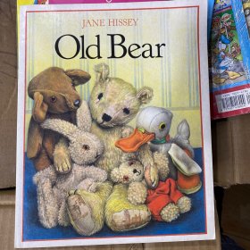 jane hissey old bear